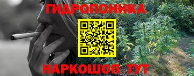 прущие грибы Беслан
