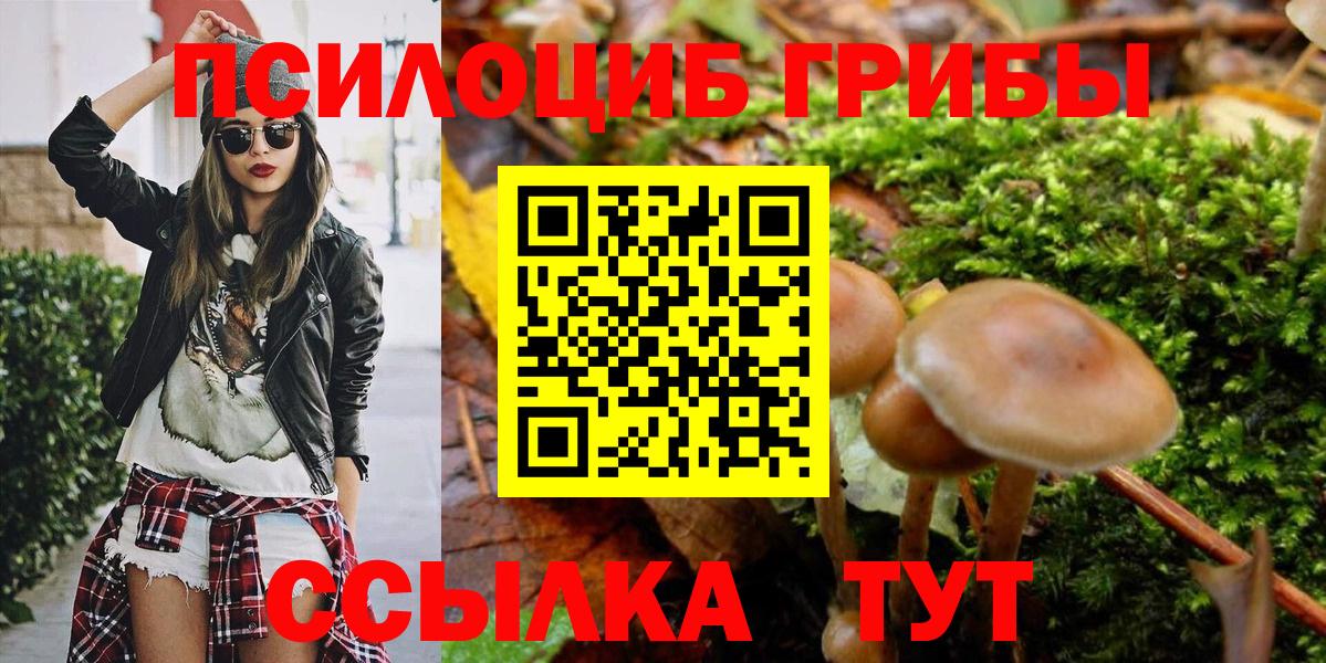 Псилоцибиновые грибы мухоморы Калининград