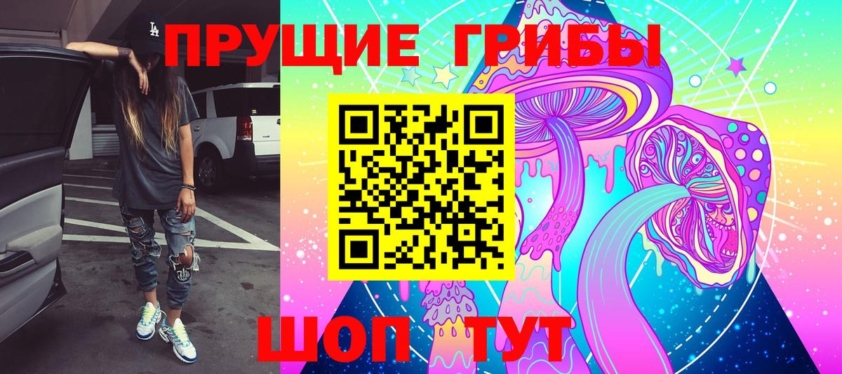Калининград  Псилоцибиновые грибы Psilocybine cubensis  хочу   Вход с VPN 